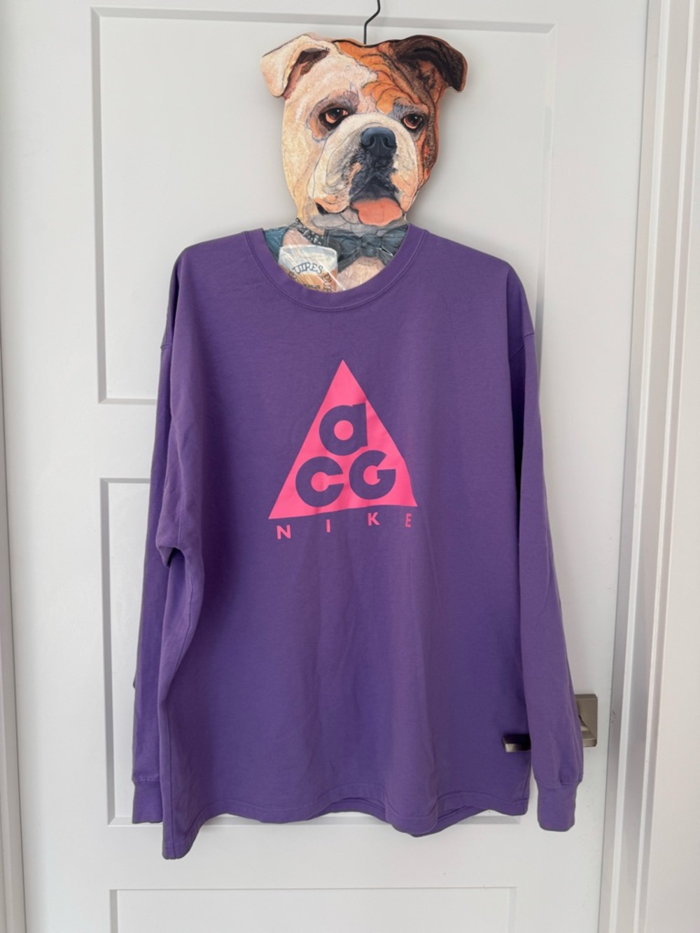 NIKE ACG LONGSLEEVE LOGO long sleeve Space Purple/ Lotus Pink